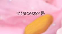intercessor是什么意思 intercessor的中文翻译、读音、例句