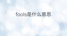 fools是什么意思 fools的中文翻译、读音、例句