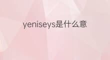 yeniseys是什么意思 yeniseys的中文翻译、读音、例句