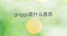 griggs是什么意思 griggs的中文翻译、读音、例句