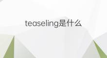 teaseling是什么意思 teaseling的中文翻译、读音、例句
