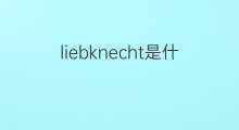 liebknecht是什么意思 liebknecht的中文翻译、读音、例句