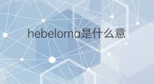 hebeloma是什么意思 hebeloma的中文翻译、读音、例句