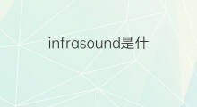 infrasound是什么意思 infrasound的中文翻译、读音、例句