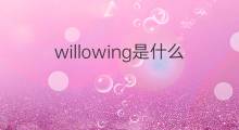 willowing是什么意思 willowing的翻译、读音、例句、中文解释