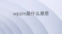 wpzm是什么意思 wpzm的中文翻译、读音、例句