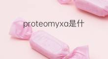 proteomyxa是什么意思 proteomyxa的中文翻译、读音、例句