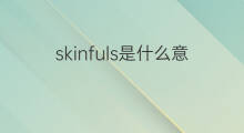 skinfuls是什么意思 skinfuls的中文翻译、读音、例句