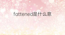 fattened是什么意思 fattened的中文翻译、读音、例句