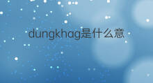 dungkhag是什么意思 dungkhag的中文翻译、读音、例句
