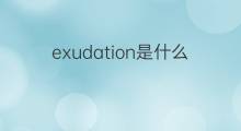 exudation是什么意思 exudation的中文翻译、读音、例句
