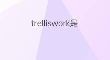 trelliswork是什么意思 trelliswork的中文翻译、读音、例句
