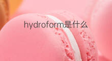 hydroform是什么意思 hydroform的中文翻译、读音、例句