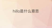 hillo是什么意思 hillo的中文翻译、读音、例句