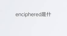 enciphered是什么意思 enciphered的翻译、读音、例句、中文解释