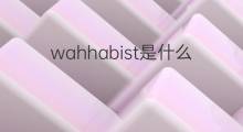 wahhabist是什么意思 wahhabist的中文翻译、读音、例句