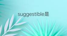 suggestible是什么意思 suggestible的中文翻译、读音、例句