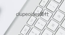 clupeoides是什么意思 clupeoides的中文翻译、读音、例句