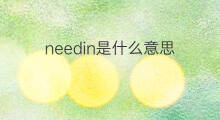needin是什么意思 needin的翻译、读音、例句、中文解释