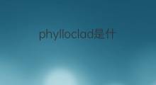 phylloclad是什么意思 phylloclad的中文翻译、读音、例句