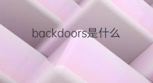 backdoors是什么意思 backdoors的中文翻译、读音、例句