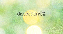 dissections是什么意思 dissections的中文翻译、读音、例句