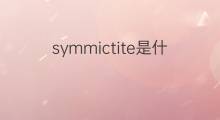 symmictite是什么意思 symmictite的中文翻译、读音、例句