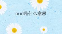 aud是什么意思 aud的中文翻译、读音、例句