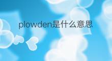 plowden是什么意思 plowden的中文翻译、读音、例句