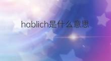 hablich是什么意思 hablich的中文翻译、读音、例句