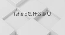 tshela是什么意思 tshela的翻译、读音、例句、中文解释