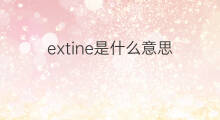 extine是什么意思 extine的中文翻译、读音、例句