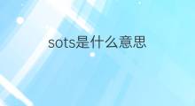 sots是什么意思 sots的中文翻译、读音、例句