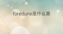 foredune是什么意思 foredune的中文翻译、读音、例句