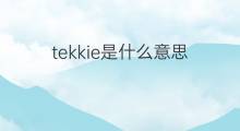 tekkie是什么意思 tekkie的中文翻译、读音、例句