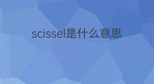 scissel是什么意思 scissel的中文翻译、读音、例句