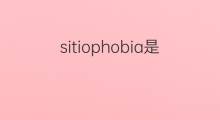 sitiophobia是什么意思 sitiophobia的中文翻译、读音、例句