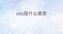 oila是什么意思 oila的中文翻译、读音、例句