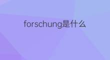 forschung是什么意思 forschung的中文翻译、读音、例句