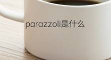parazzoli是什么意思 parazzoli的中文翻译、读音、例句