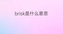 brisk是什么意思 brisk的中文翻译、读音、例句
