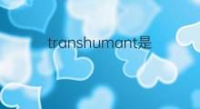 transhumant是什么意思 transhumant的中文翻译、读音、例句