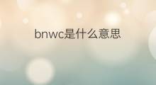 bnwc是什么意思 bnwc的中文翻译、读音、例句