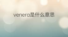 venera是什么意思 venera的中文翻译、读音、例句
