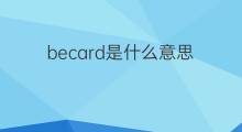 becard是什么意思 becard的中文翻译、读音、例句