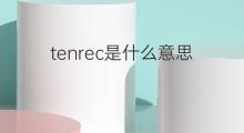 tenrec是什么意思 tenrec的中文翻译、读音、例句