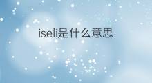 iseli是什么意思 iseli的中文翻译、读音、例句