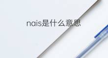 nais是什么意思 nais的中文翻译、读音、例句