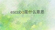 escoba是什么意思 escoba的中文翻译、读音、例句