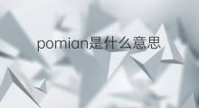 pomian是什么意思 pomian的中文翻译、读音、例句